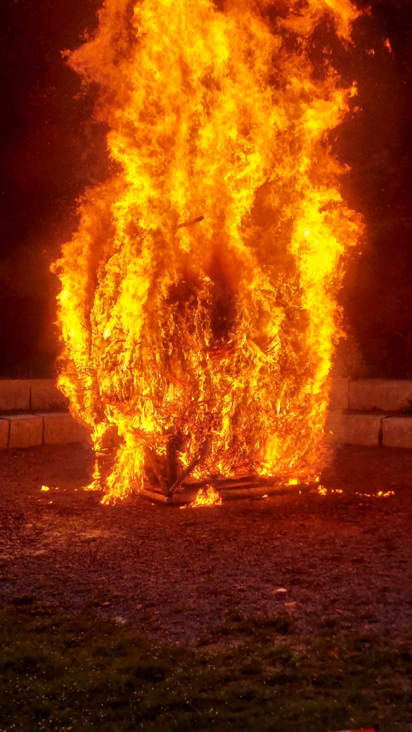 Mehr über den Artikel erfahren Instagram